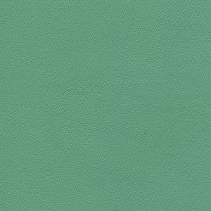 Enduratex Independence Contract Vinyl Amuse-mint