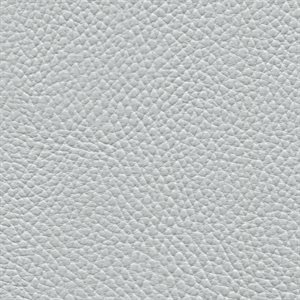 Softside Beluga Marine Vinyl Haze