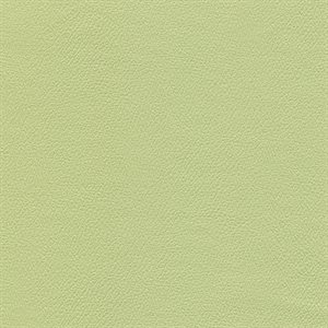 Enduratex Independence Contract Vinyl Baby Greens
