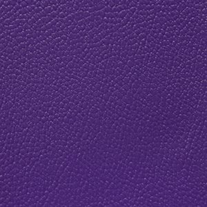 Sample of Allsport 4 Way Stretch Vinyl Bright Violet
