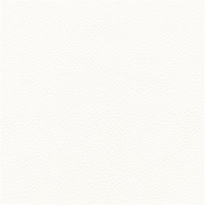 Sample of Leon Marine Vinyl Brite White