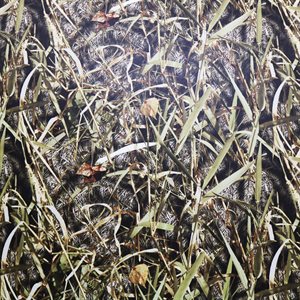 Sample of Camouflage Vinyl Hidden Creek Marsh