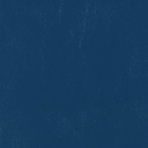 Morbern Catalina Marine Vinyl Marlin Blue