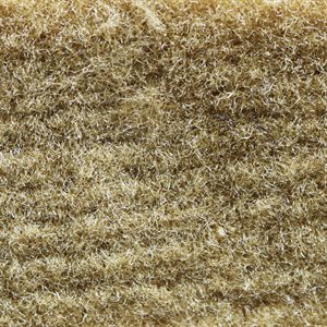 Sample of El Dorado Cutpile Carpet Biscuit Latexed