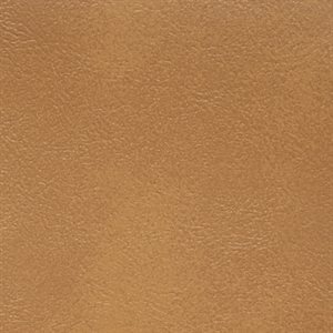 Sample of Sierra Automotive Vinyl Camel
