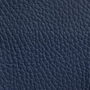 Softside Beluga Marine Vinyl Celestial