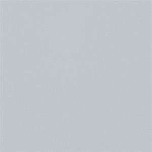 Morbern Catalina Marine Vinyl Dolphin