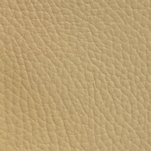 Sample of Beluga Marine Vinyl Dune