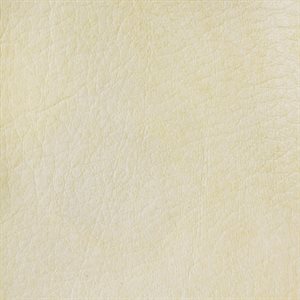 Sample of Allegro Marine Vinyl Glacier