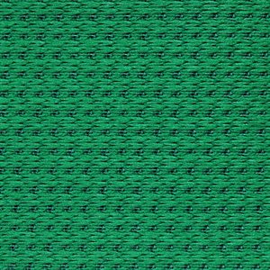 Sample of Grand Tex Cloth Verde
