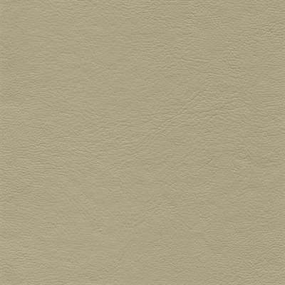 Genesis Economy Vinyl Light Cashmere