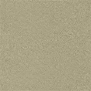 Genesis Economy Vinyl Light Cashmere