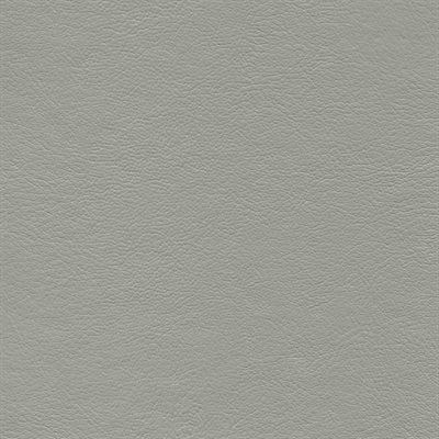 Genesis Economy Vinyl Light Titanium