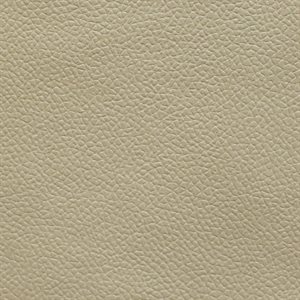 Morbern Longitude Automotive Vinyl Light Cashmere