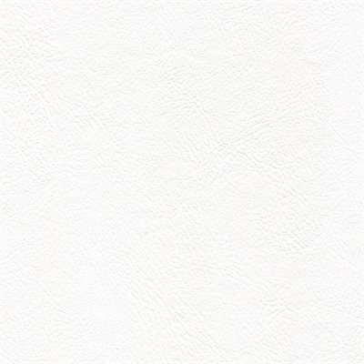 Genesis Economy Vinyl Madrid White