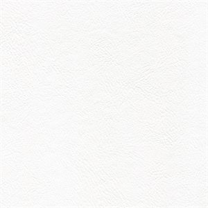 Sample of Genesis Economy Vinyl Madrid White