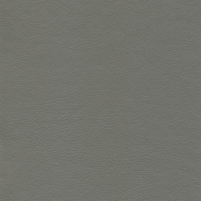 Genesis Economy Vinyl Medium Dark Pewter