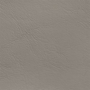 Sample of Allante Automotive Vinyl Medium Neutral