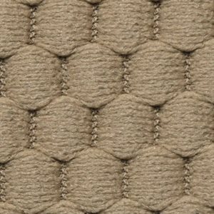 Sample of Prophesy Cloth Sandstone