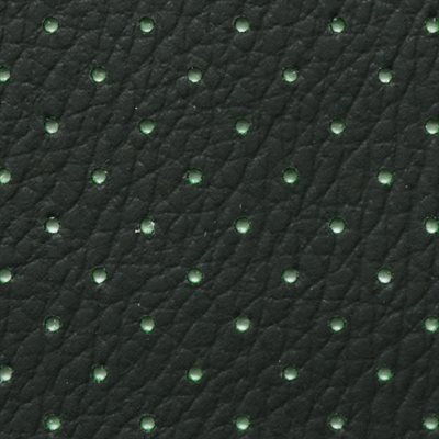 Enduratex Phantom Perforated Automotive Vinyl Black/Turf *N/S