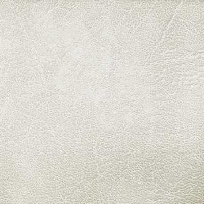 Sample of Carrara Automotive Vinyl Porcelain