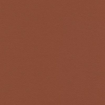 Enduratex Predictions Contract Vinyl Red Tail Hawk Enduratex Predictions Contract Vinyl Red Tail Hawk