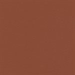 Enduratex Predictions Contract Vinyl Red Tail Hawk Enduratex Predictions Contract Vinyl Red Tail Hawk