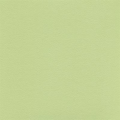 Enduratex Predictions Contract Vinyl Sassy Pistachio Enduratex Predictions Contract Vinyl Sassy Pistachio