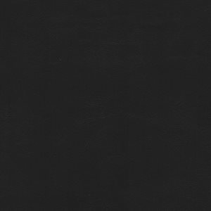 EZ Sierra Automotive Vinyl Black