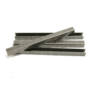 Tego Staples 3/8" x 1/2" Stainless Steel