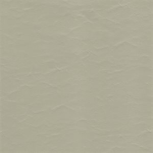 Sample of EZ Wallaby Automotive Vinyl Neutral