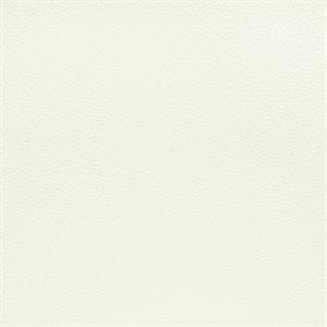 Sample of Corinthian Automotive Vinyl White